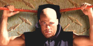 2004 Fleer WWE Chaos Wrestling Checklist, Details