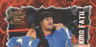 2004 Pacific TNA Wrestling Checklist, Details