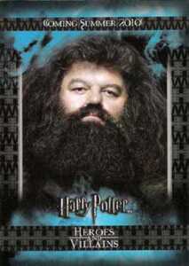 2010 Harry Potter Heroes and Villains Promo Card P2