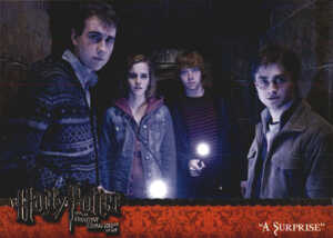 Harry Potter Deathly Hallows Part 2 FOIL Card  # R5 