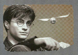 Harry Potter Deathly Hallows Part 2 Foil Chase Card R7 