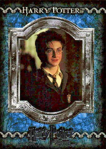 Harry Potter Rubeus Hagrid Collectors card s04. 